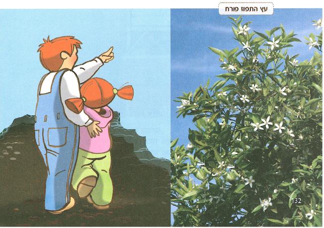 (בספר איור של נוגה ושביט משוחחים)